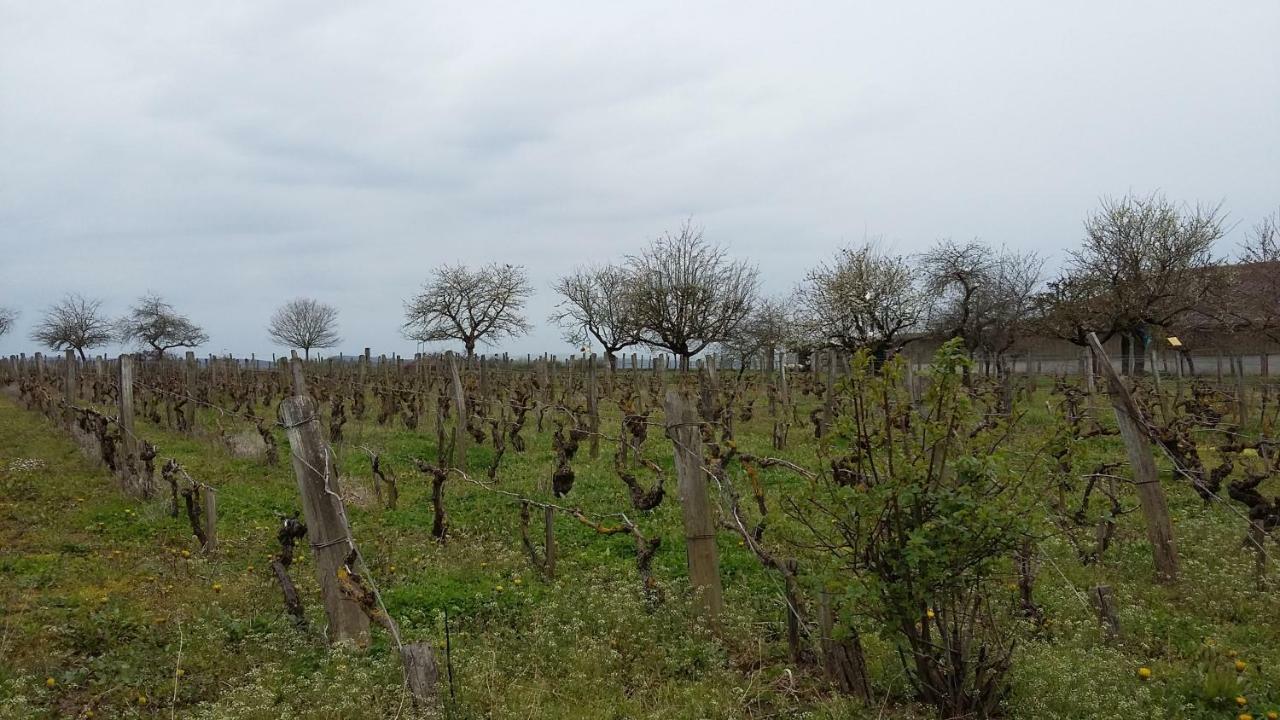 La Chagnelotte Apartman Farges-les-Chalon Kültér fotó
